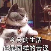 不就是给猫剪个指甲吗至于那么矫情吗