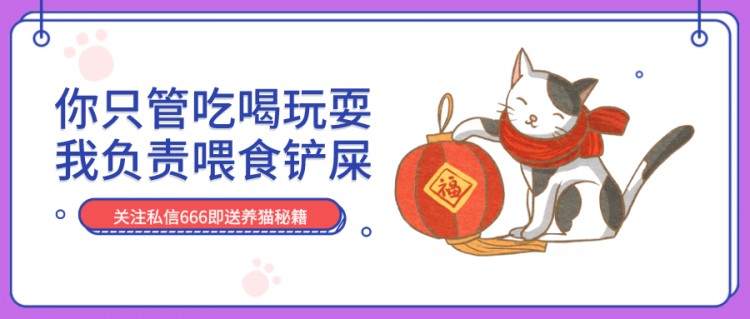 猫咪发情了怎么办？做好这几点，你也是个专业的铲屎官