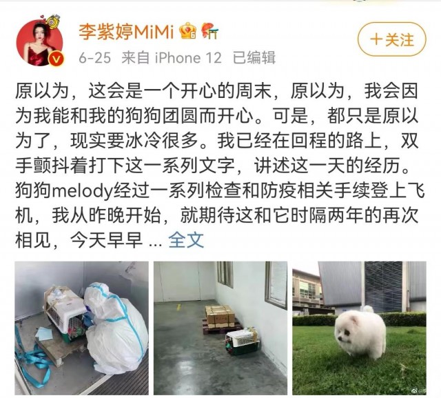 心痛！知名女星爱犬托运意外死亡泰航回应：尽快提供调查结果